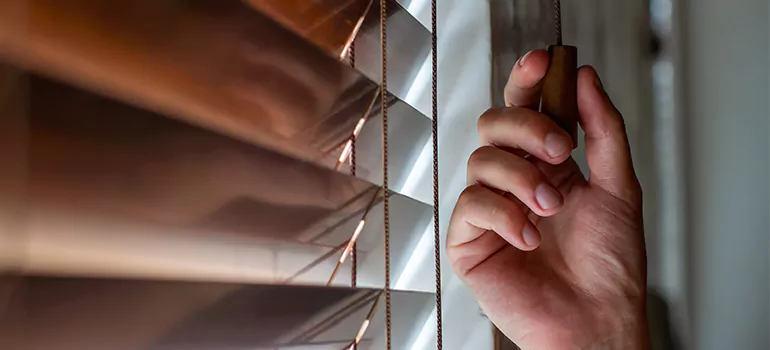 Double Roller Blinds in Hialeah, FL