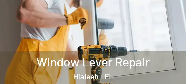  Window Lever Repair Hialeah - FL